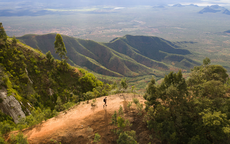 Discover the Benefits of a Tanzania Safari