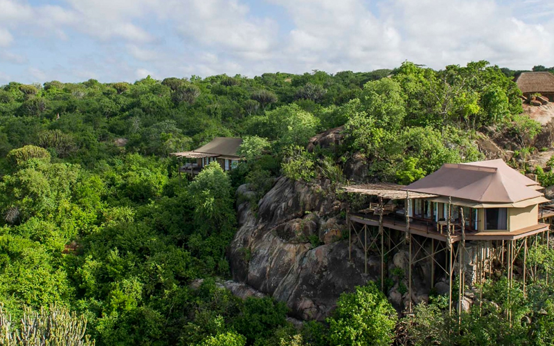 Exploring the Serengeti What to Expect on a Safari