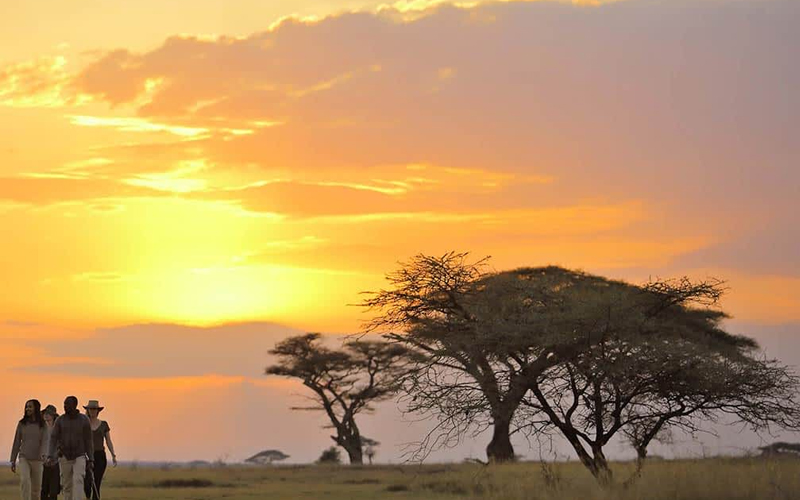 Serengeti National Park Records