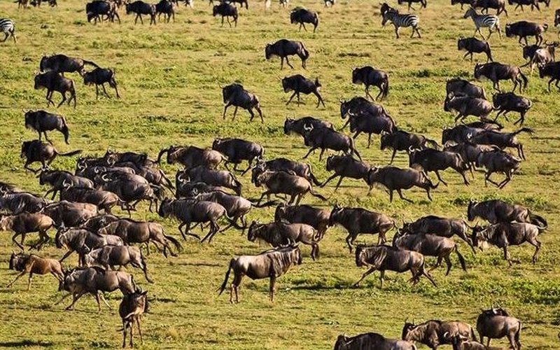 The Best Time to Visit Tanzania's Northern Circuit in 2024