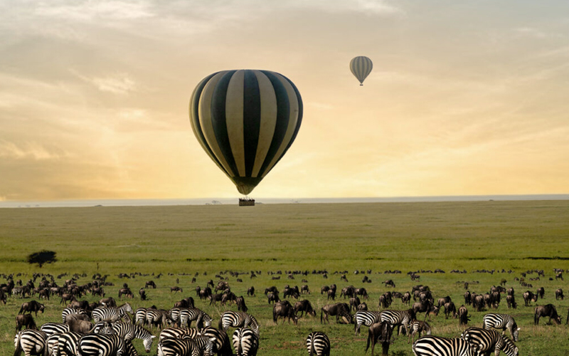 Serengeti Hot Air Balloon Safari: A Unique Way to Celebrate New Year 2025