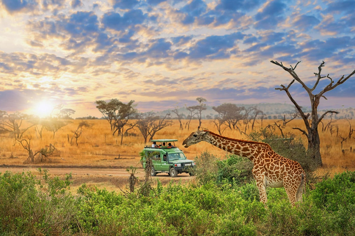 Tanzania’s Best Kid-Friendly Adventures